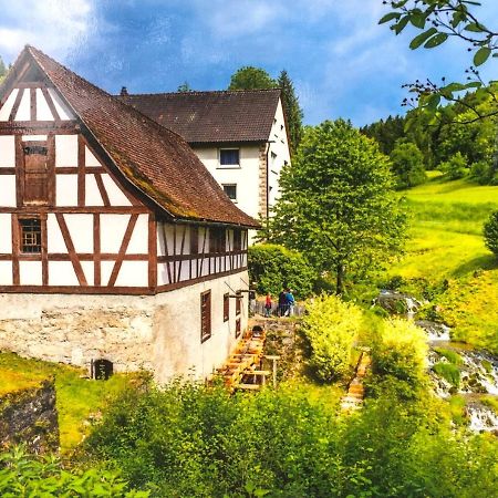Ferienwohnung Schwarzwald تودموس المظهر الخارجي الصورة