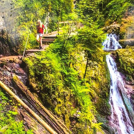 Ferienwohnung Schwarzwald تودموس المظهر الخارجي الصورة