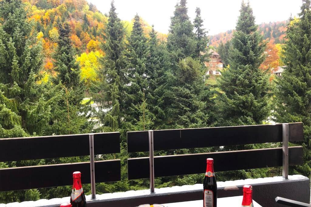 Ferienwohnung Schwarzwald تودموس المظهر الخارجي الصورة