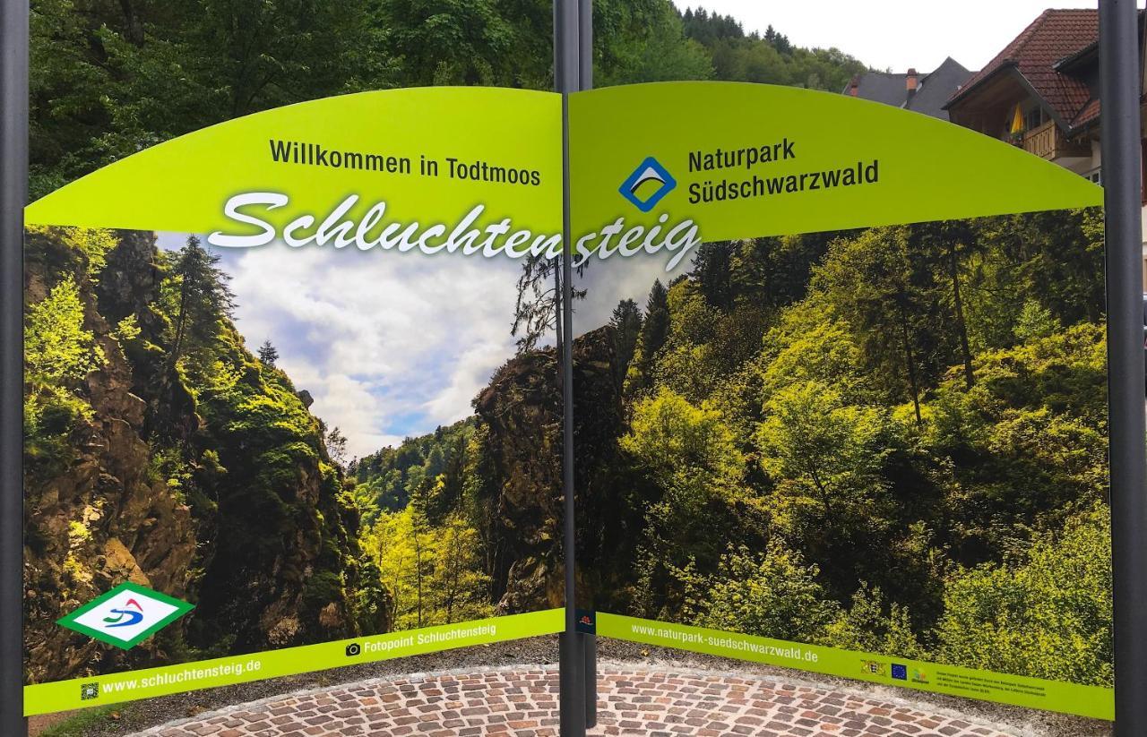 Ferienwohnung Schwarzwald تودموس المظهر الخارجي الصورة