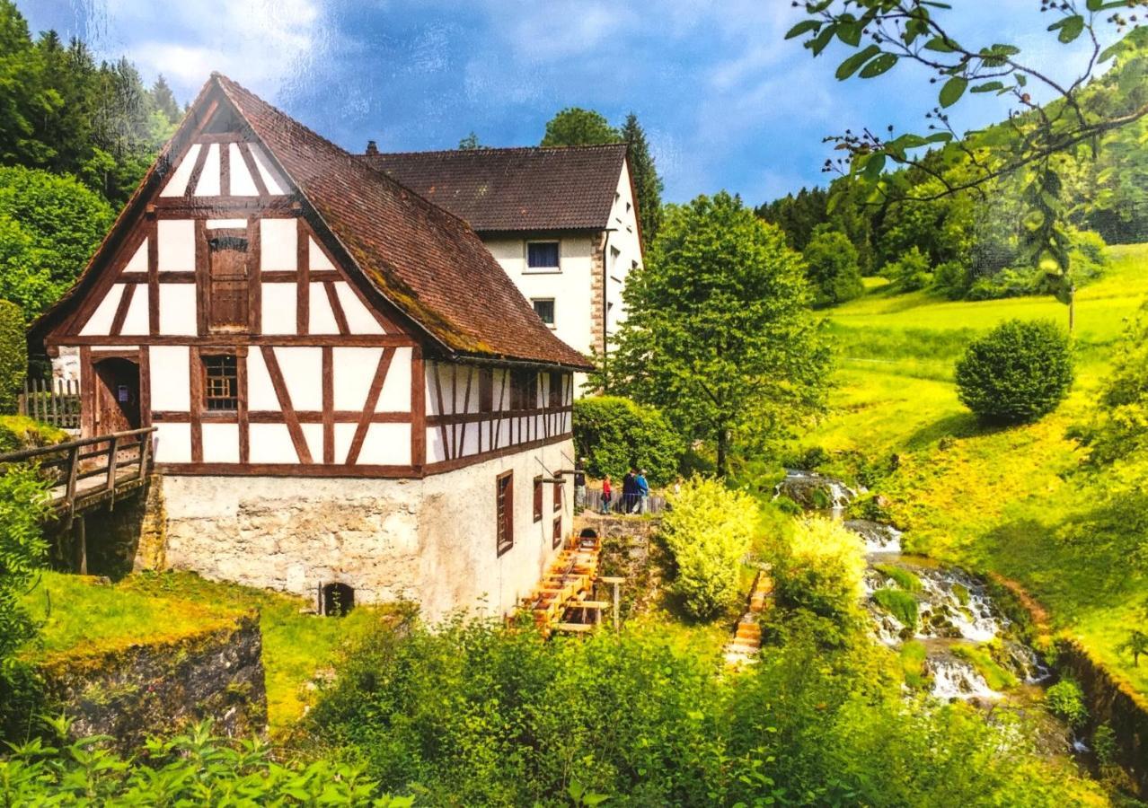 Ferienwohnung Schwarzwald تودموس المظهر الخارجي الصورة