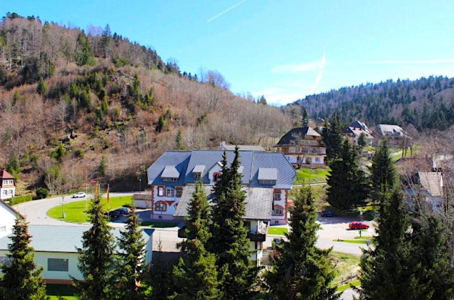 Ferienwohnung Schwarzwald تودموس المظهر الخارجي الصورة