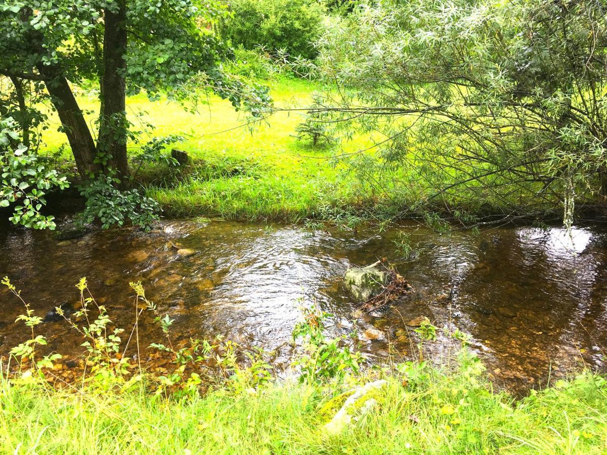 Ferienwohnung Schwarzwald تودموس المظهر الخارجي الصورة