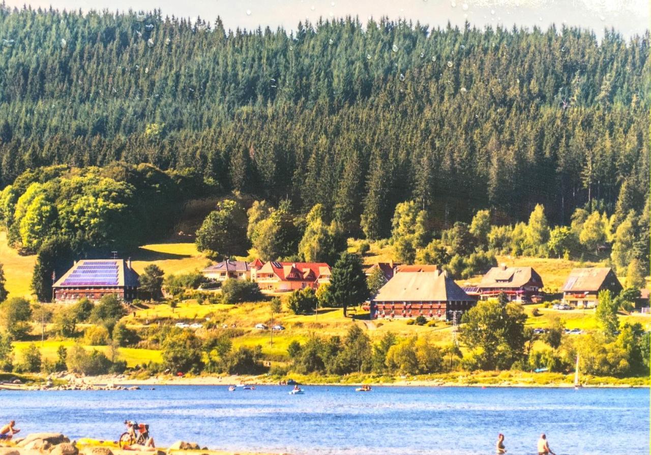 Ferienwohnung Schwarzwald تودموس المظهر الخارجي الصورة