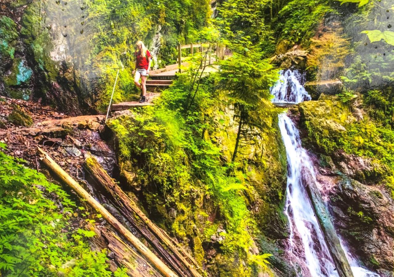 Ferienwohnung Schwarzwald تودموس المظهر الخارجي الصورة