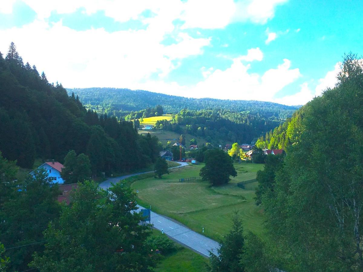 Ferienwohnung Schwarzwald تودموس المظهر الخارجي الصورة