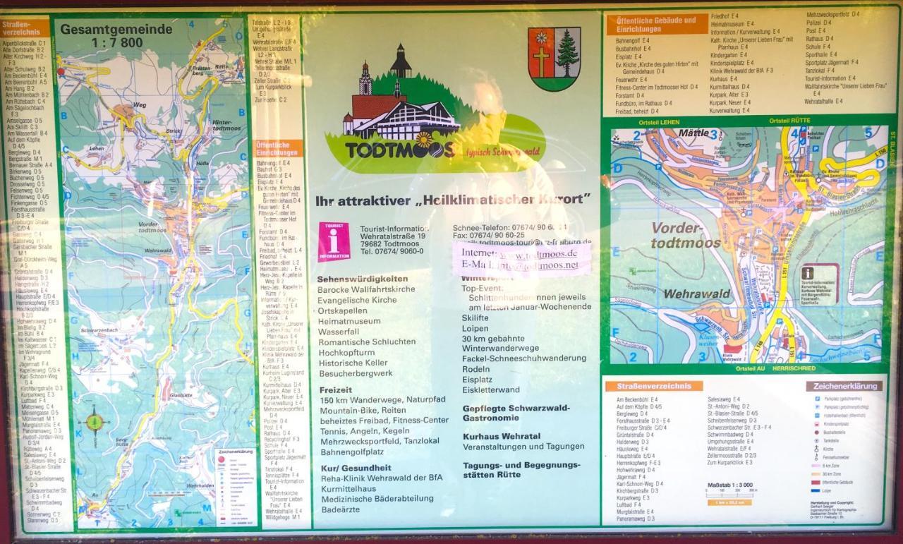 Ferienwohnung Schwarzwald تودموس المظهر الخارجي الصورة