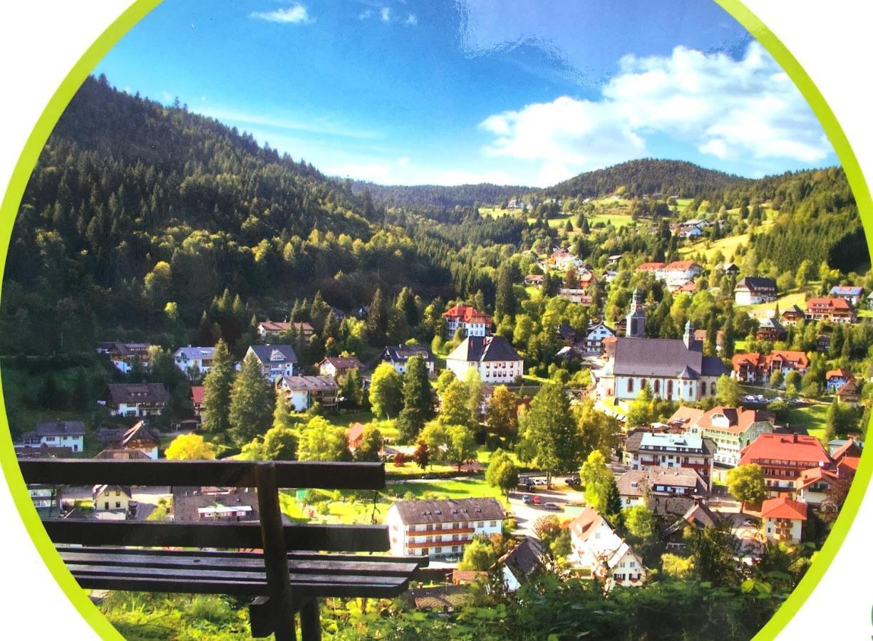 Ferienwohnung Schwarzwald تودموس المظهر الخارجي الصورة