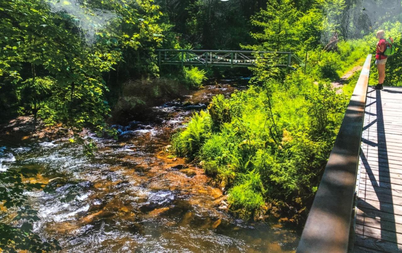 Ferienwohnung Schwarzwald تودموس المظهر الخارجي الصورة