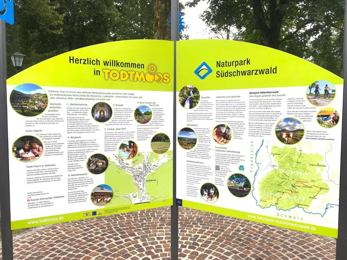 Ferienwohnung Schwarzwald تودموس المظهر الخارجي الصورة